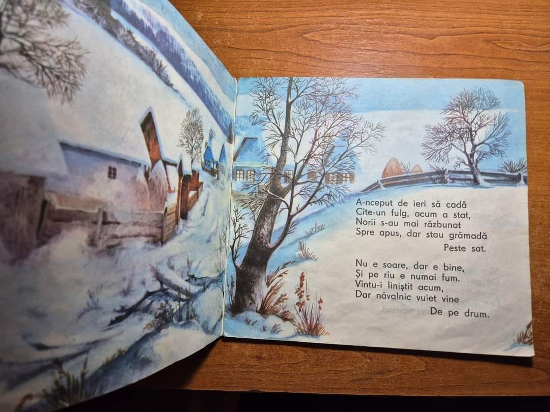 Grand plat LUNE D'HIVER